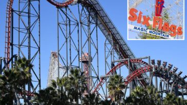 deadly-six-flags-rollercoaster-finally-closed-after-two-latest-victims-needed-emergency-brain-surgery:-report