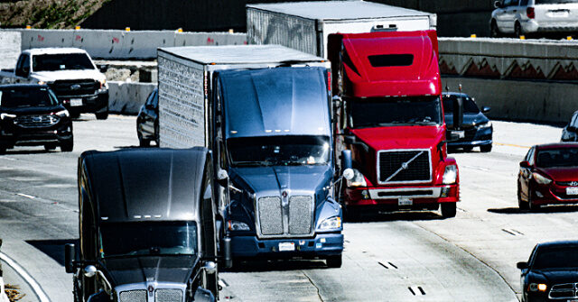 report:-illegal-alien-from-india-identified-as-trucker-in-fatal-mississippi-crash