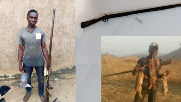 nigeria:-military-confiscates-homemade-muzzleloaders-from-christian-communities