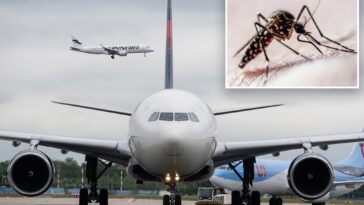 two-workers-at-germany’s-busiest-airport-die-of-malaria-after-mosquitoes-arrive-on-plane