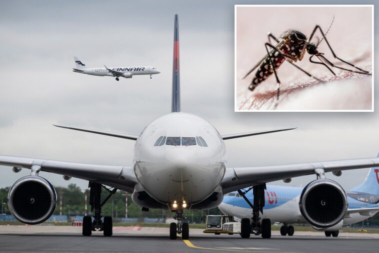 two-workers-at-germany’s-busiest-airport-die-of-malaria-after-mosquitoes-arrive-on-plane