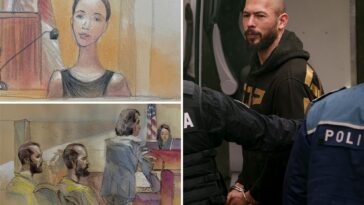 pregnant-mother-of-andrew-tate’s-child-begs-for-his-release-in-court:-‘he’s-a-great-father’