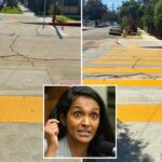 nithya-raman-roasted-for-boasting-about-paint-job-on-mangled-street:-‘lipstick-on-a-pig’