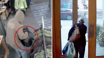 sf-cops-hammer-repeat-thieves-accused-of-treating-high-end-outdoor-store-like-their-personal-atm