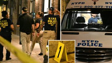 nyc-school-worker-killed,-friend-stabbed-during-unhinged-attack-by-maniac-with-13-prior-busts:-sources