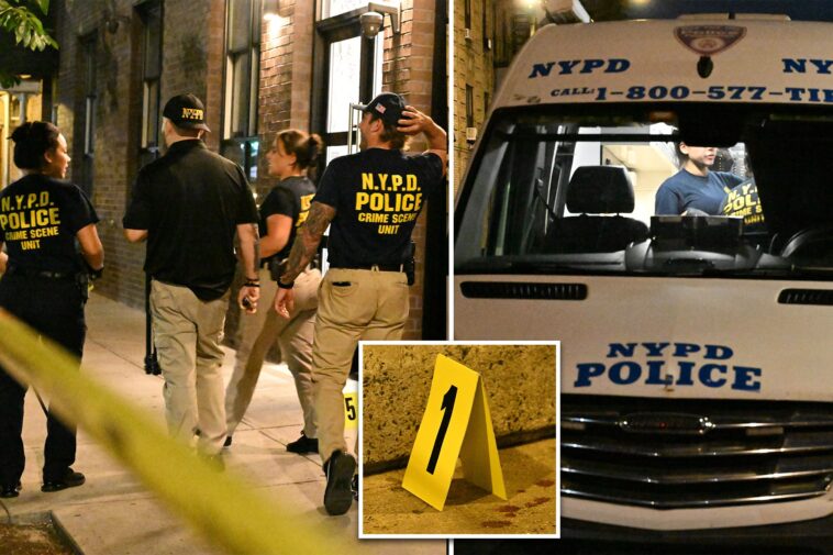 nyc-school-worker-killed,-friend-stabbed-during-unhinged-attack-by-maniac-with-13-prior-busts:-sources
