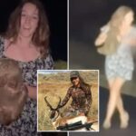 influencer-who-sparked-outrage-for-snatching-baby-wombat-from-its-mother-in-australia-sentenced-in-separate-wyoming-case