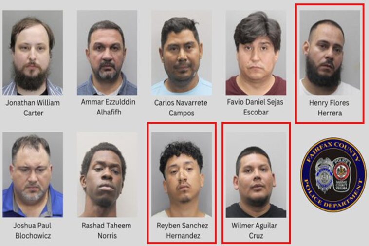 3-illegal-aliens-arrested-in-major-virginia-child-exploitation-sting-released-on-bond