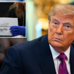 trump’s-mail-ballot-executive-order-blocked-in-ruling-that-will-likely-be-quickly-appealed