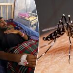 ‘breakbone-fever’-common-in-tropical-countries-is-spreading-in-florida