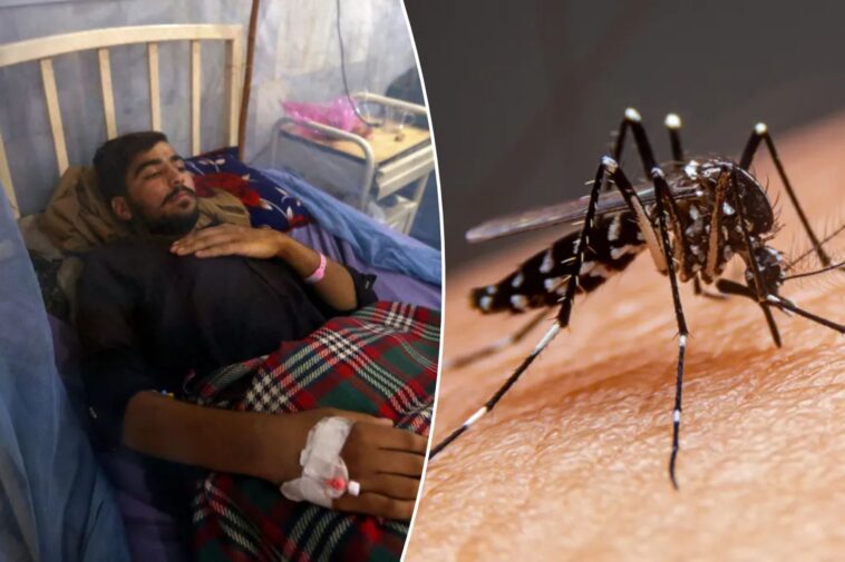 ‘breakbone-fever’-common-in-tropical-countries-is-spreading-in-florida