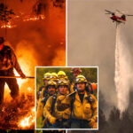 napa-valley-winery-worker-charged-with-starting-massive-fire-that-caused-$56m-in-losses