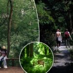nyc-is-more-than-20-percent-open-space-—-and-most-spend-their-lives-rushing-past-some-of-our-best,-secret-parks