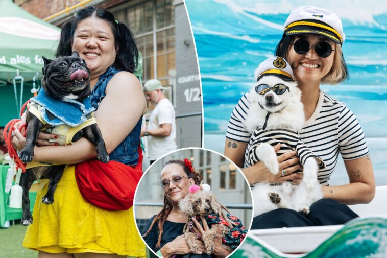 meet-the-new-yorkers-who-look-like-their-dogs:-‘people-love-to-take-pictures-of-us’