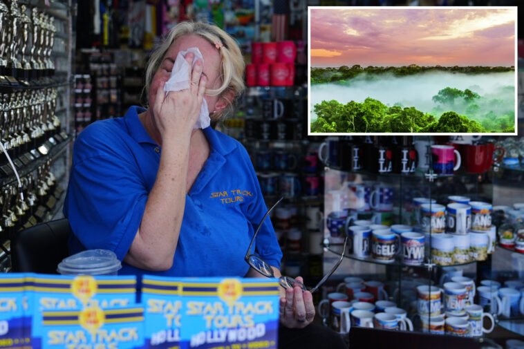 swampy-socal-sets-record-for-heat-misery:-‘comparable-to-the-amazon-rainforest’