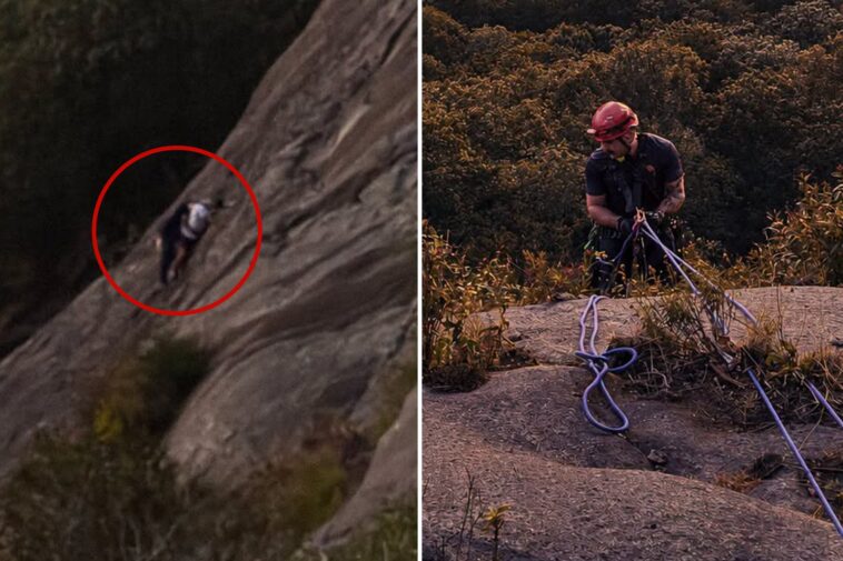 firefighter-dramatically-rescues-free-climber-stranded-on-georgia-rock-face-who-called-911