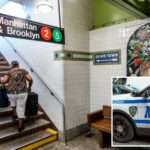 crazed-stranger-randomly-shoves-woman-onto-nyc-train-tracks-—-then-walks-into-psych-clinic:-cops,-sources