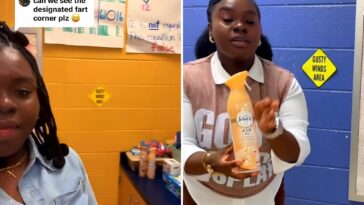 georgia-teacher-has-‘fart-corner’-—-that-lets-students-pass-gas-without-disruptions:-‘this-is-genius’