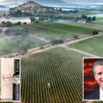 gavin-newsom’s-winery-revealed-as-only-one-to-get-state-payout-for-wildfires-—-as-vineyard-bosses-explode