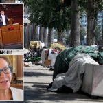 wild-proposal-in-city-council-meeting-aimed-at-creating-public-‘sex-huts’-for-la-homeless