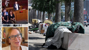 wild-proposal-in-city-council-meeting-aimed-at-creating-public-‘sex-huts’-for-la-homeless