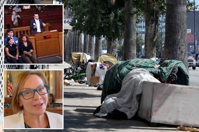 wild-proposal-in-city-council-meeting-aimed-at-creating-public-‘sex-huts’-for-la-homeless
