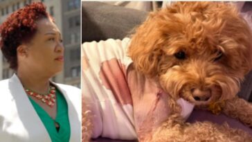 nyc-judge-frees-man-accused-of-shooting-service-dog-of-woman-with-down-syndrome-while-attempting-to-kill-man