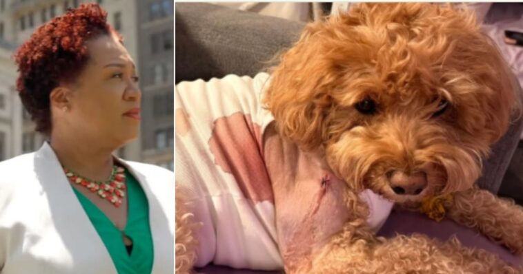 nyc-judge-frees-man-accused-of-shooting-service-dog-of-woman-with-down-syndrome-while-attempting-to-kill-man