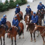 belgium-narco-dystopia:-prosecutor-in-capital-brussels-is-lashing-out-at-the-lack-of-resources-to-fight-violent-drug-gangs