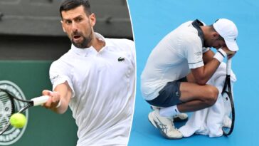 inside-novak-djokovic’s-scary-health-struggles-that-caused-him-to-collapse-on-the-court-—-as-us-open-insiders-predict-he-might-still-have-advantage