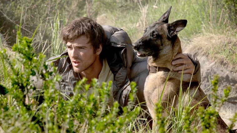 ‘the-dog-stars’-review:-jacob-elordi-fights-for-survival-in-ridley-scott’s-dull-post-apocalyptic-western