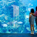 report-exposes-the-smithsonian-zoo’s-leftist-activism:-dei,-feminism,-and-queer-activism