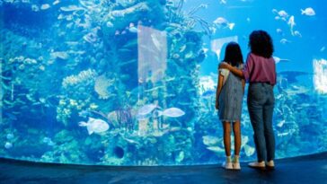 report-exposes-the-smithsonian-zoo’s-leftist-activism:-dei,-feminism,-and-queer-activism
