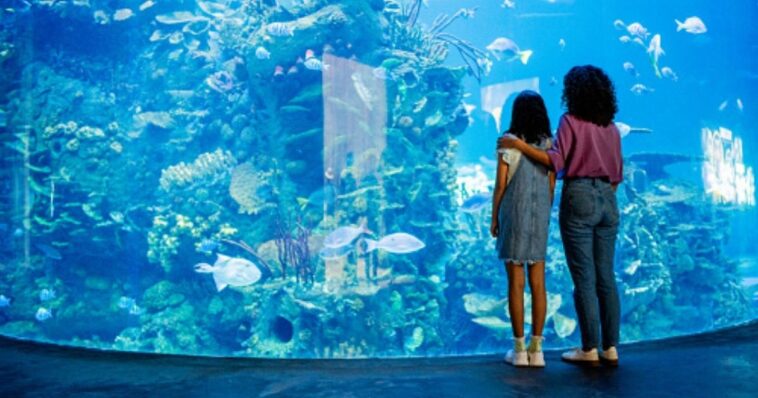 report-exposes-the-smithsonian-zoo’s-leftist-activism:-dei,-feminism,-and-queer-activism
