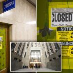 manhattan-criminal-court-cafeteria-crawling-with-mice,-roaches,-inspections-find