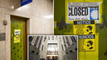manhattan-criminal-court-cafeteria-crawling-with-mice,-roaches,-inspections-find