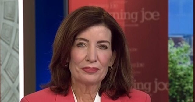 hochul:-i-wish-‘rogue-policing’-ice-‘would-just-disband’,-go-back-to-ins