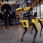 ice-to-spend-$2-million-on-strange-new-kind-of-k-9-unit