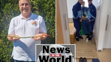 news-of-the-world:-what-you-missed-this-week-internationally