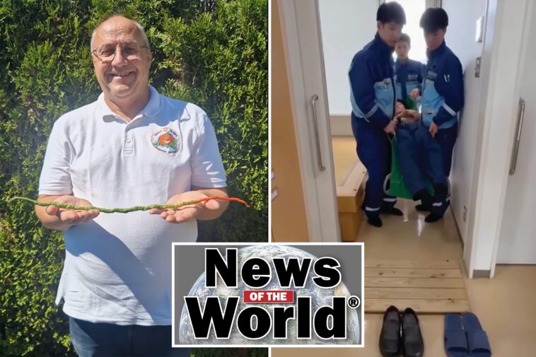 news-of-the-world:-what-you-missed-this-week-internationally