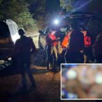 race-against-time-to-save-camper-attacked-by-rattlesnake-at-arizona-remote-site