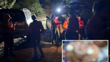 race-against-time-to-save-camper-attacked-by-rattlesnake-at-arizona-remote-site