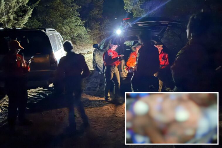 race-against-time-to-save-camper-attacked-by-rattlesnake-at-arizona-remote-site