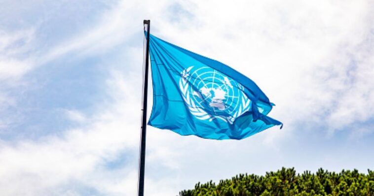 un-told-merchant-ships-not-to-arm-themselves-against-pirates-as-piracy-escalates