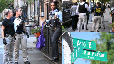 homeless-perv-busted-for-sexually-motivated-burglary-of-nyc-home:-cops