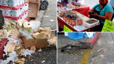 dog-eaten-meat,-rats-and-urine:-stomach-churning-details-of-10k-la-street-food-complaints-revealed