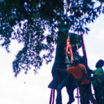 virginia-democrats-bury-confederate-statue-removal-in-budget-line-item