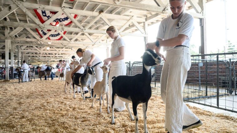 north-carolina-warns-mobile-petting-zoo-visitors-of-rabies-exposure-after-baby-goats-test-positive