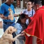 so-sweet!-a-dog-named-simon-joins-in-intercessory-prayers-at-a-catholic-church-–-and-there’s-more-video