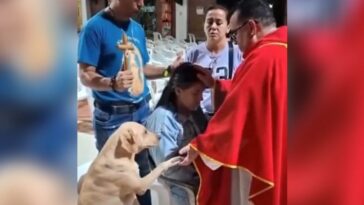 so-sweet!-a-dog-named-simon-joins-in-intercessory-prayers-at-a-catholic-church-–-and-there’s-more-video
